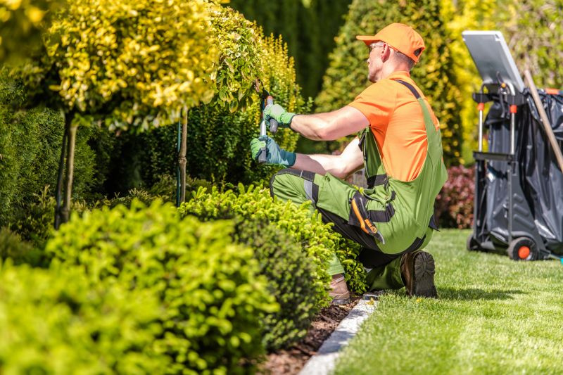 Lawn And Garden Maintenance
