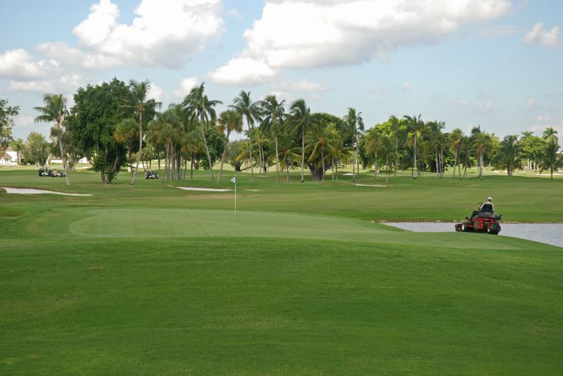 Lawn And Garden Maintenance