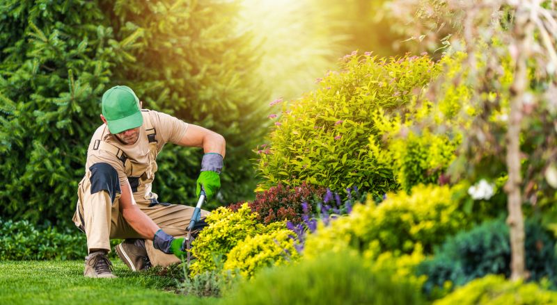 Lawn And Garden Maintenance detail